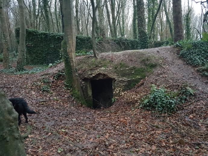 Remains of an icehouse at Rostellan, with surviving traces of the walled garden beyond (Sara Nylund)